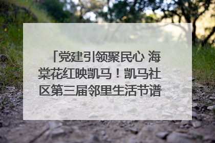 党建引领聚民心 海棠花红映凯马！凯马社区第三届邻里生活节谱写幸福新篇章