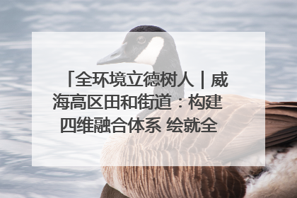 全环境立德树人｜威海高区田和街道：构建四维融合体系 绘就全环境立德树人新画卷