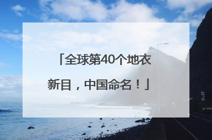 全球第40个地衣新目，中国命名！