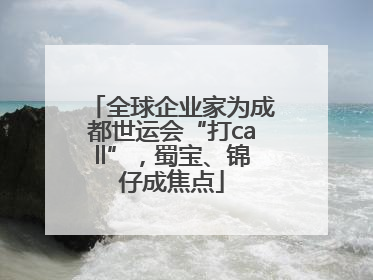 全球企业家为成都世运会“打call”，蜀宝、锦仔成焦点