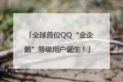 全球首位QQ“金企鹅”等级用户诞生！