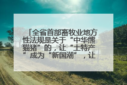 全省首部畜牧业地方性法规是关于“中华熊猫猪”的，让“土特产”成为“新国潮”，让“农产品”升格为“城市IP”