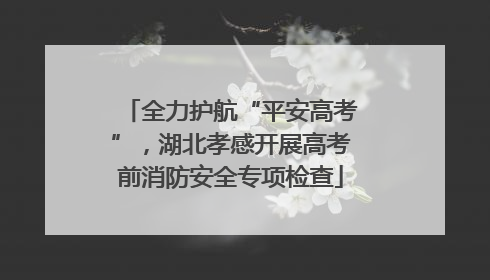 全力护航“平安高考”，湖北孝感开展高考前消防安全专项检查