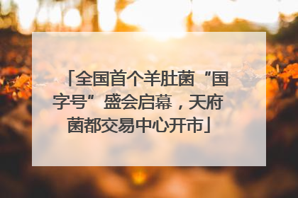 全国首个羊肚菌“国字号”盛会启幕，天府菌都交易中心开市
