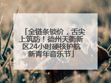 全链条锁价，舌尖上筑防！德州天衢新区24小时硬核护航新青年音乐节
