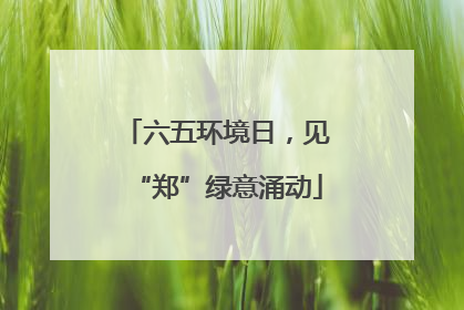六五环境日，见“郑”绿意涌动
