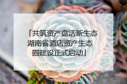 共筑资产盘活新生态 湖南省酒店资产生态圈建设正式启动