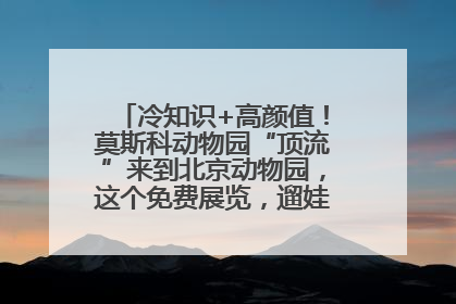 冷知识+高颜值！莫斯科动物园“顶流”来到北京动物园，这个免费展览，遛娃拍照两不误！
