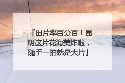 出片率百分百！昆明这片花海美炸啦，随手一拍就是大片