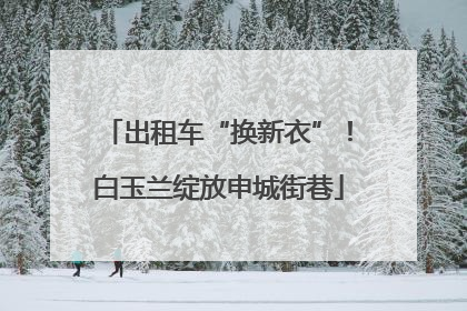 出租车“换新衣”！白玉兰绽放申城街巷