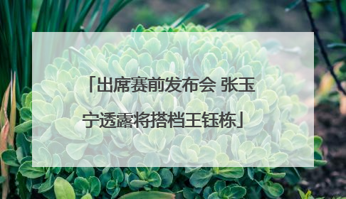 出席赛前发布会 张玉宁透露将搭档王钰栋