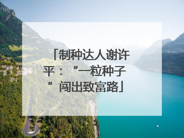 制种达人谢许平：“一粒种子”闯出致富路
