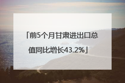 前5个月甘肃进出口总值同比增长43.2%