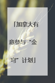 加拿大有意参与“金穹”计划