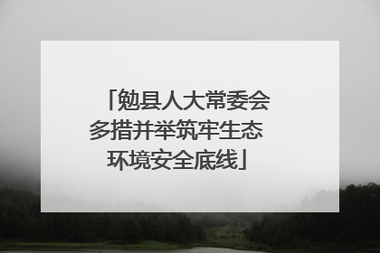 勉县人大常委会多措并举筑牢生态环境安全底线