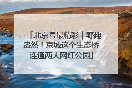 北京号最精彩｜野趣盎然！京城这个生态桥连通两大网红公园