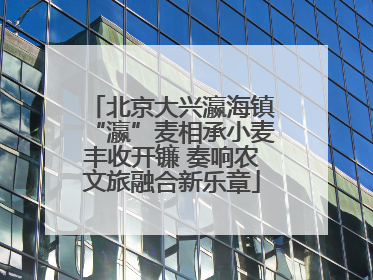 北京大兴瀛海镇“瀛”麦相承小麦丰收开镰 奏响农文旅融合新乐章