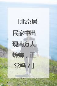 北京居民家中出现南方大蟑螂，正常吗？