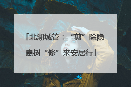北湖城管：“剪”除隐患树“修”来安居行