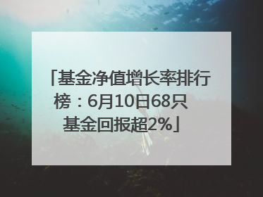 基金净值增长率排行榜：6月10日68只基金回报超2%
