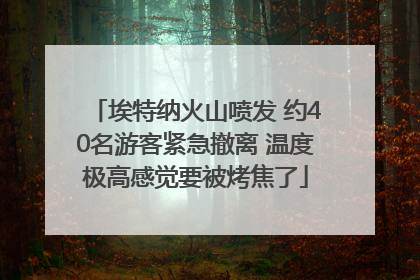 埃特纳火山喷发 约40名游客紧急撤离 温度极高感觉要被烤焦了