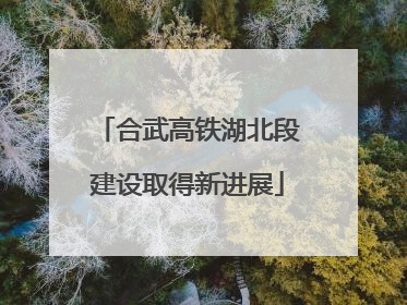 合武高铁湖北段建设取得新进展