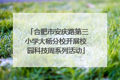 合肥市安庆路第三小学大杨分校开展校园科技周系列活动