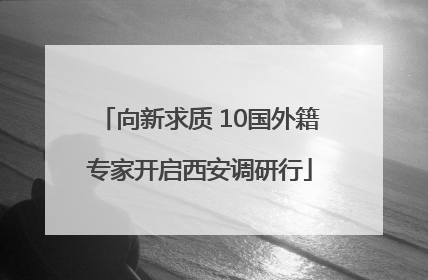 向新求质 10国外籍专家开启西安调研行