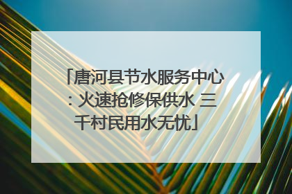 唐河县节水服务中心：火速抢修保供水 三千村民用水无忧