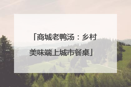 商城老鸭汤：乡村美味端上城市餐桌