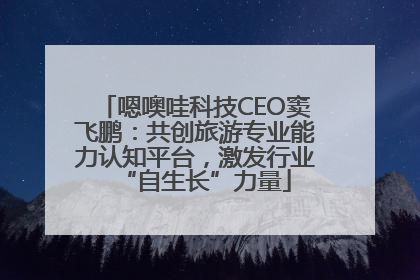 嗯噢哇科技CEO窦飞鹏：共创旅游专业能力认知平台，激发行业“自生长”力量