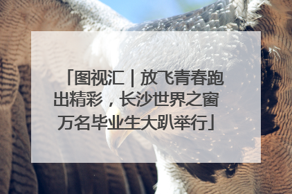 图视汇｜放飞青春跑出精彩，长沙世界之窗万名毕业生大趴举行