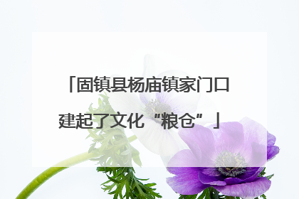 固镇县杨庙镇家门口建起了文化“粮仓”