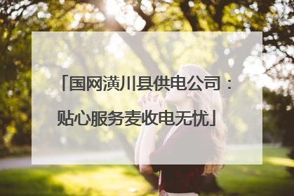 国网潢川县供电公司：贴心服务麦收电无忧