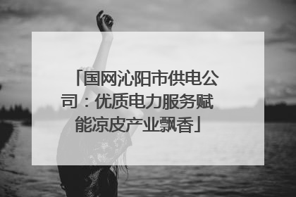 国网沁阳市供电公司：优质电力服务赋能凉皮产业飘香