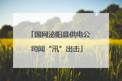 国网泌阳县供电公司闻“汛”出击