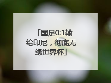 国足0:1输给印尼，彻底无缘世界杯