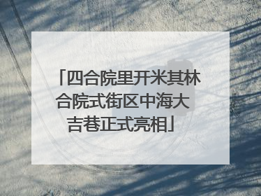 四合院里开米其林 合院式街区中海大吉巷正式亮相