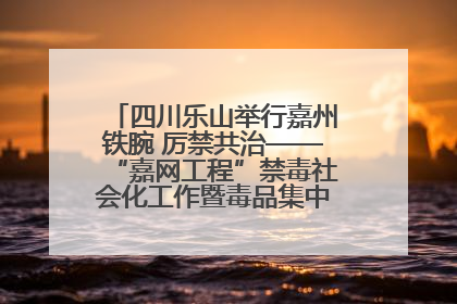 四川乐山举行嘉州铁腕 厉禁共治——“嘉网工程”禁毒社会化工作暨毒品集中销毁启动仪式