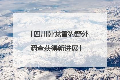 四川卧龙雪豹野外调查获得新进展