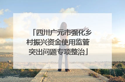 四川广元市强化乡村振兴资金使用监管突出问题专项整治