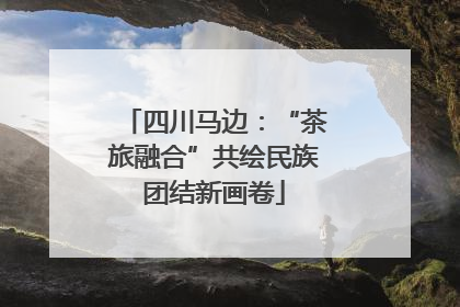 四川马边：“茶旅融合”共绘民族团结新画卷