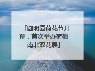 圆明园荷花节开幕，首次举办荷梅南北双花展