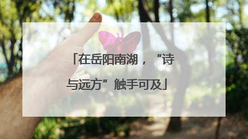 在岳阳南湖，“诗与远方”触手可及