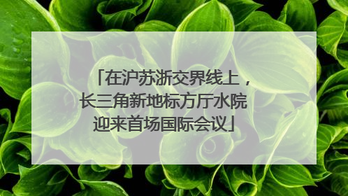 在沪苏浙交界线上，长三角新地标方厅水院迎来首场国际会议