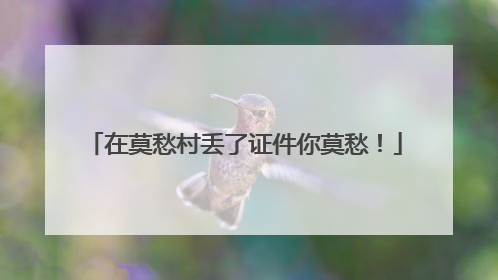 在莫愁村丢了证件你莫愁！