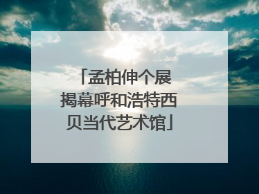 孟柏伸个展 揭幕呼和浩特西贝当代艺术馆