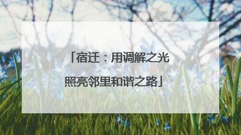 宿迁：用调解之光照亮邻里和谐之路