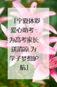 宁夏体彩爱心助考：为高考家长送清凉 为学子梦想护航