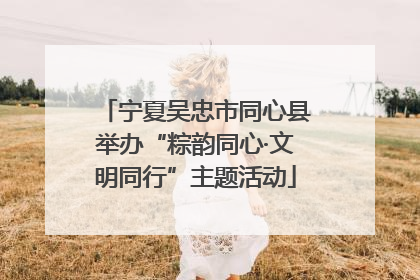 宁夏吴忠市同心县举办“粽韵同心·文明同行”主题活动